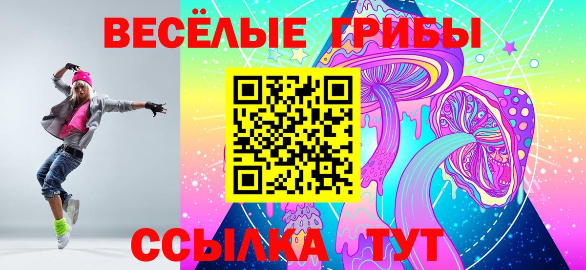 Псилоцибиновые грибы MAGIC MUSHROOMS  Псилоцибиновые грибы прущие грибы  Кашира  Вход с VPN 