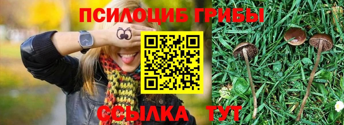 Галлюциногенные грибы мицелий Кашира